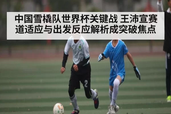 中国雪橇队世界杯关键战 王沛宣赛道适应与出发反应解析成突破焦点（LOL）